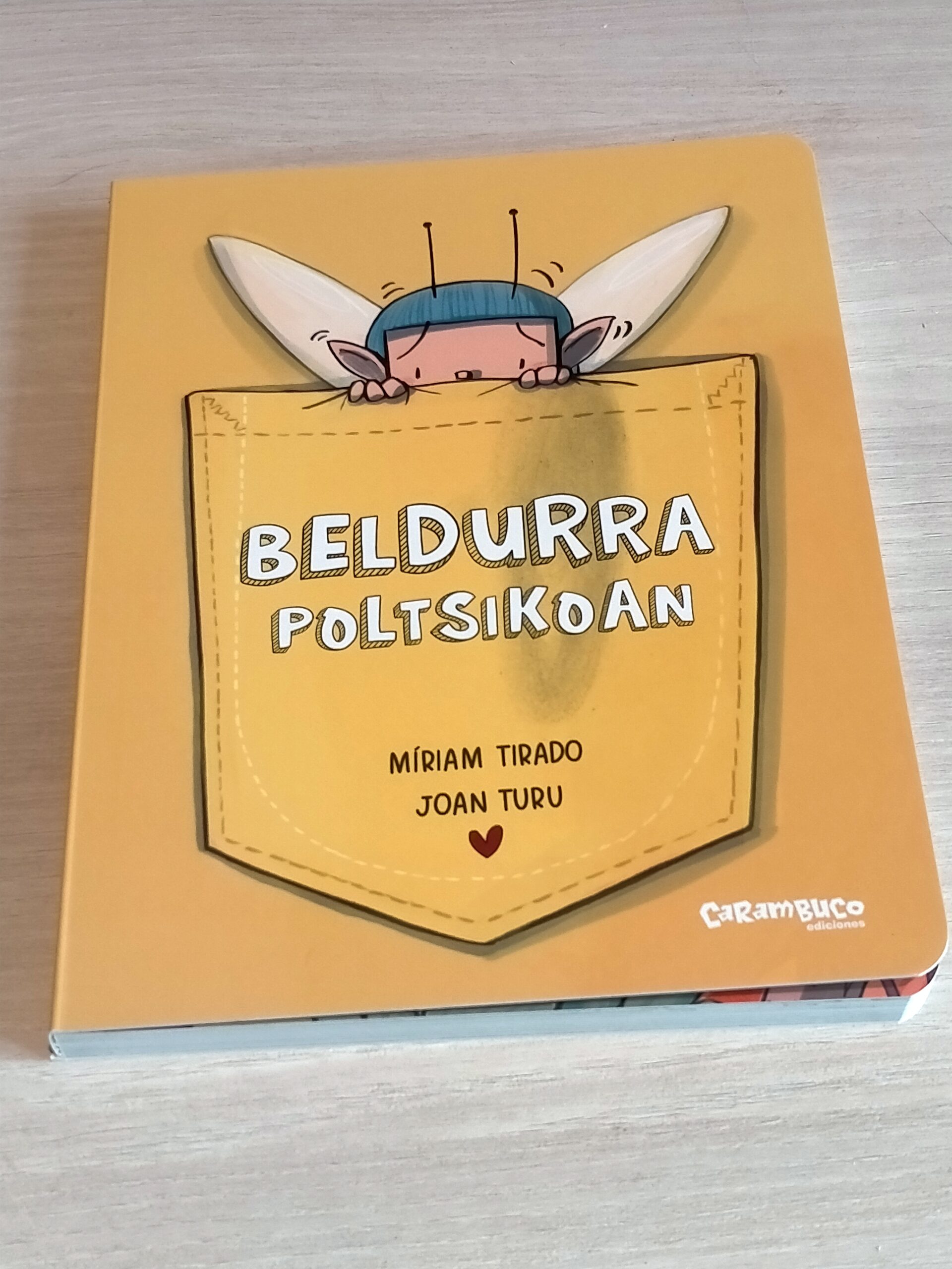 «Beldurra poltsikoan» liburuaren argazkia