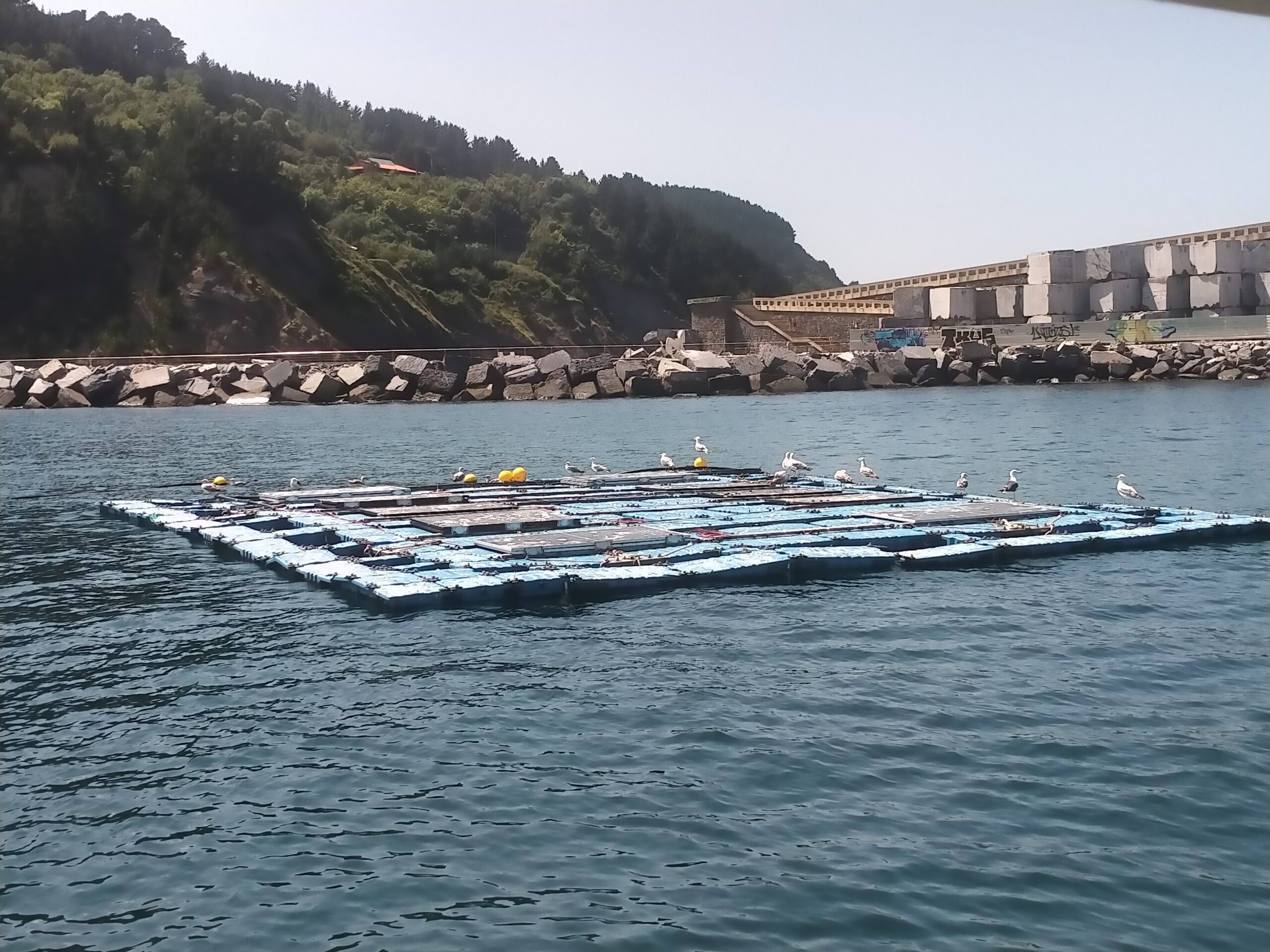 Foto de la plataforma fotovoltaica de Mutriku. Se encuentra en el mar, cerca de la costa, mide unos 150 metros cuadrados y encima de los flotadores, entre los paneles solares, hay varias gaviotas.